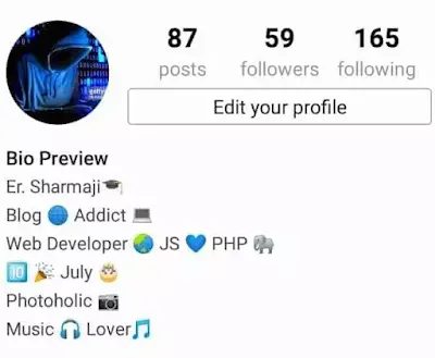 Instagram bio for web developer