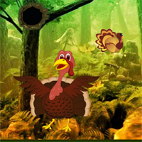  Games2Rule - Giant Turkey Forest Escape