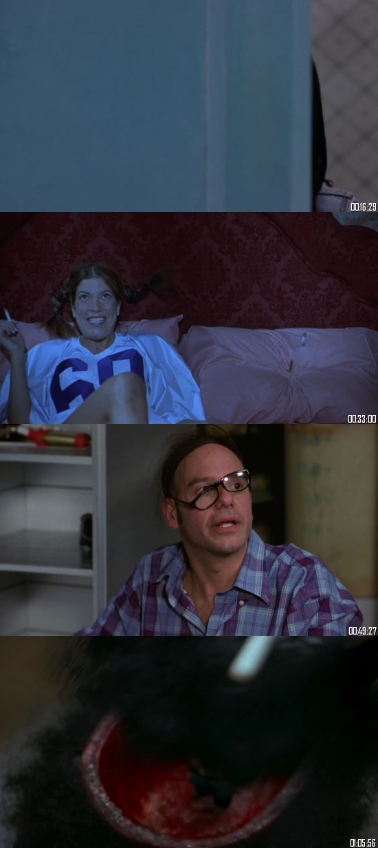 Scary Movie 2 (2001) BRRip 720p 480p Dual Audio Hindi English Full Movie Download