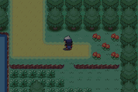 Pokemon Xeneon screenshot 02