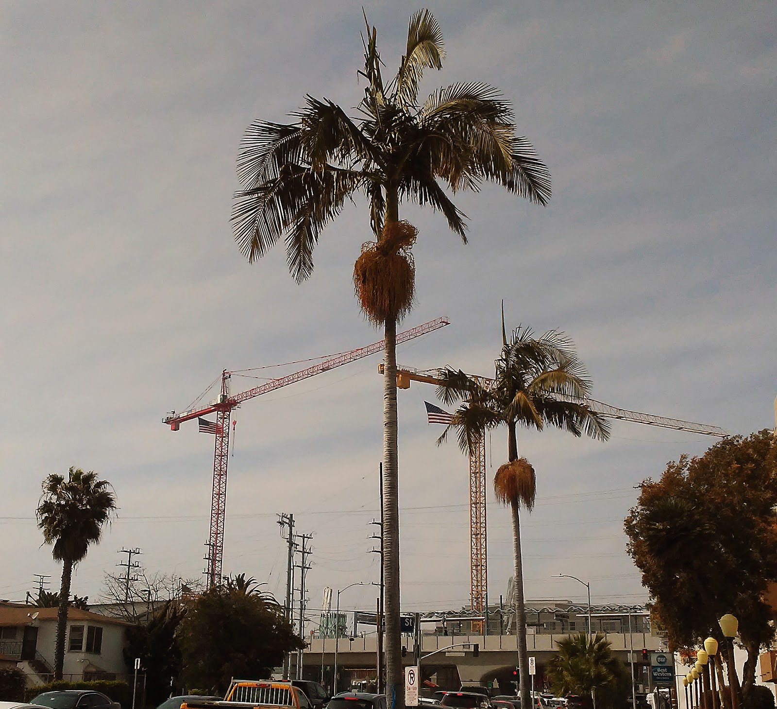 David G L Weiss Projekte Und Aktuelles Ein Osi In Connecticut