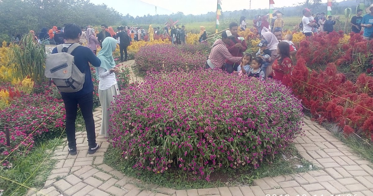Bpd Sukaraja Taman Bunga Pandeglang Bisa Menjadi Referensi Bumdes Sukaraja