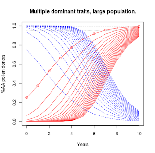 Plot titled "Multiple dominant traits, large population", illustrating selection for a trait in an out-crossing population. It takes more years for the trait of interest to reach saturation in the population.
