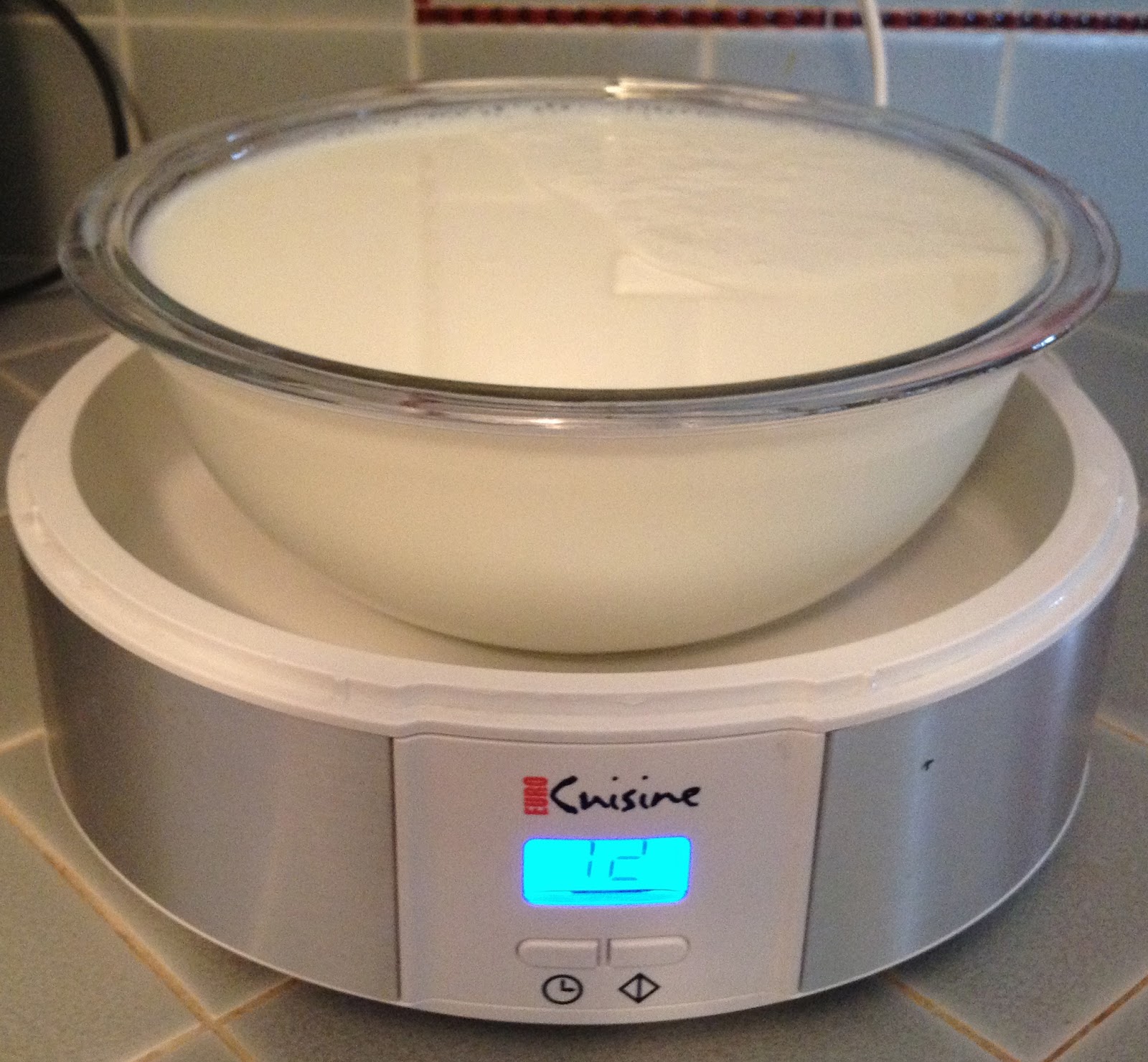 Food Resolutions Homemade Greek Yogurt