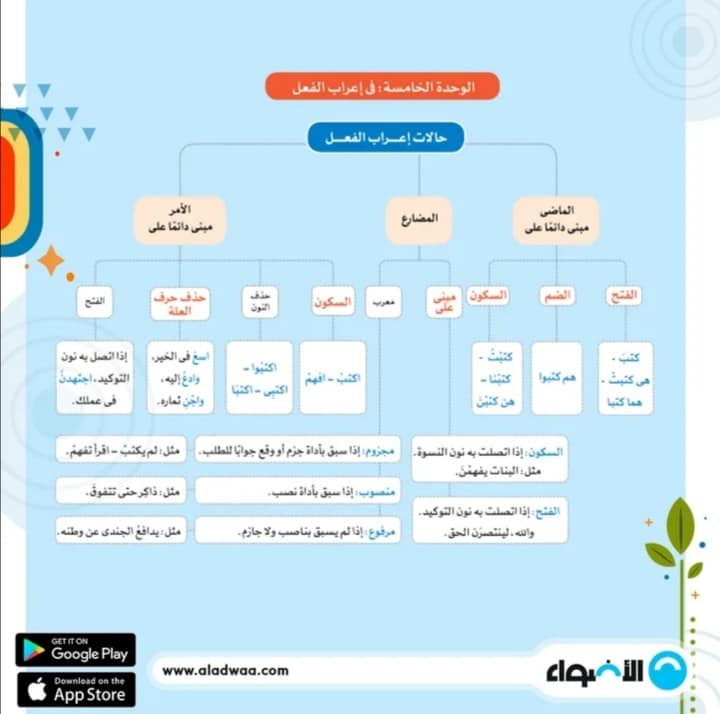 ملخص الأضواء في النحو للثانوية العامة 10%2B%25285%2529