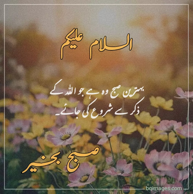 Good Morning Quotes In Urdu 30+] Beautiful Good Morning Wishes, Dua In Urdu Images - Bqimages |  Beautiful Pictures With Quotes | Status Pics