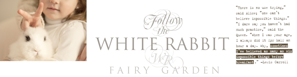 WHITE RABBIT garden