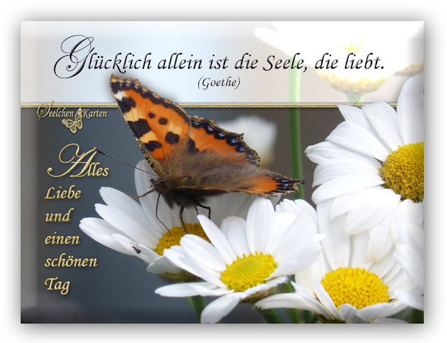 Seelchen Karten und Collagen Schönen Tag / Glücklich allein ist die