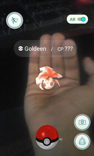 Goldeen On My Hand