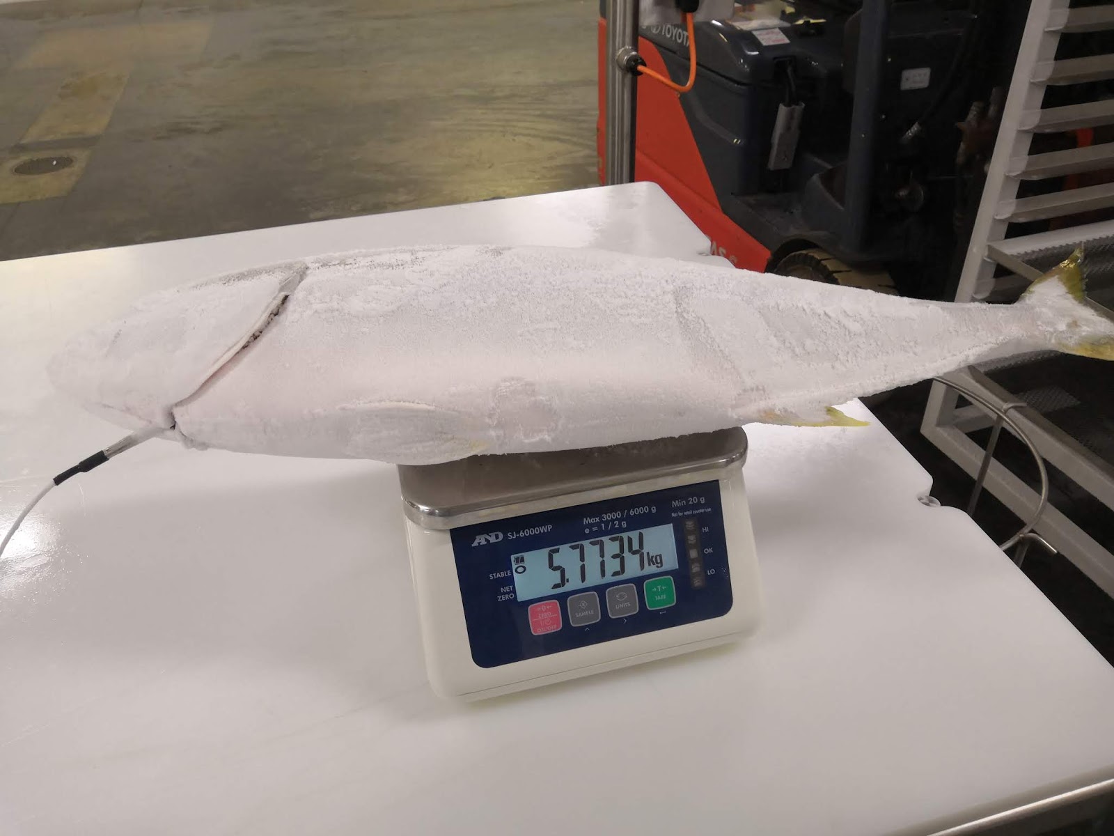 Liquid nitrogen freezer, cryogenic freezer manufacturer from China