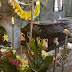 Funeraria cambia 2 cuerpos por error en Morelia