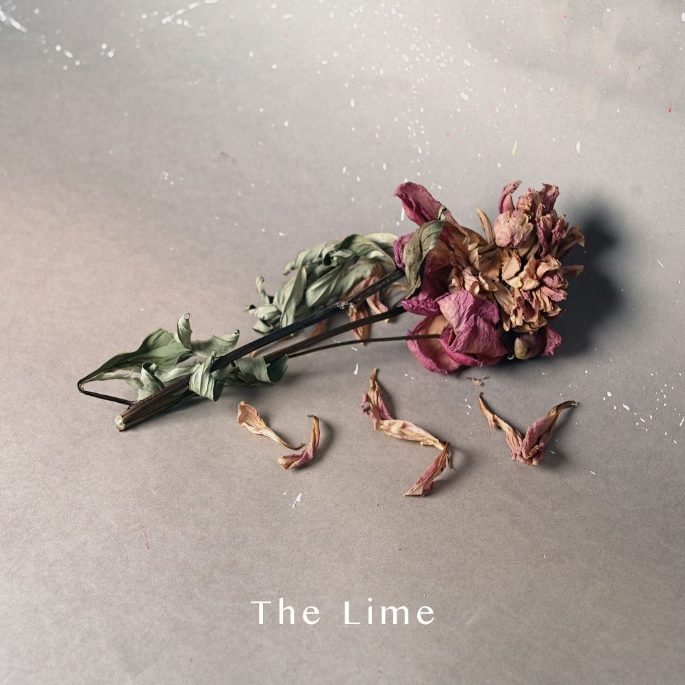 The Lime – We’ve been walking – Single