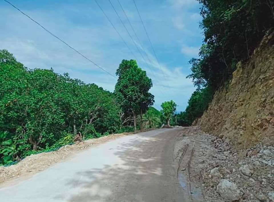 Puente Carmen Cebu Lot for Sale Overlooking Mountain & Sea View For
