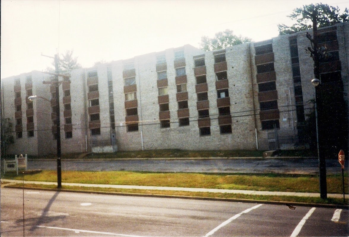 Morphological Confetti Remembering Linda Pollin