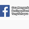 Cara Mengembalikan Postingan Facebook Yang Terhapus