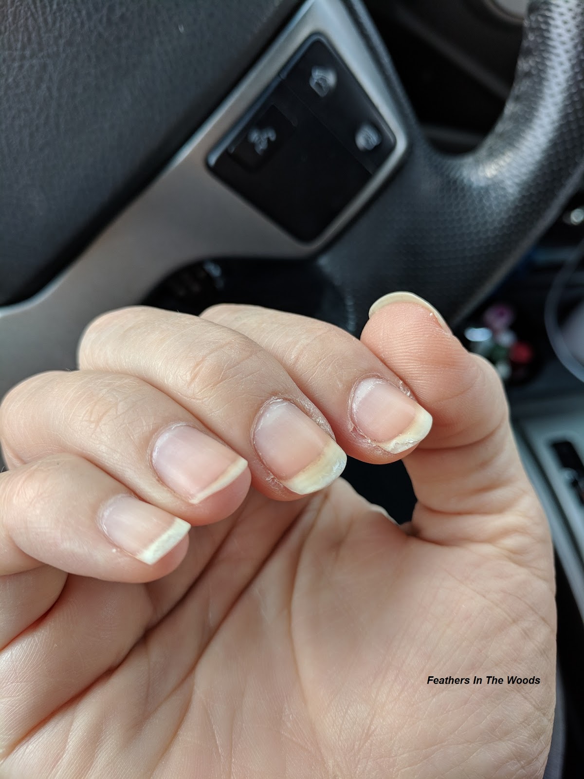 DIY homemade cuticle oil recipe Feathers in the woods