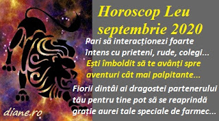 Horoscop septembrie 2020 Leu 