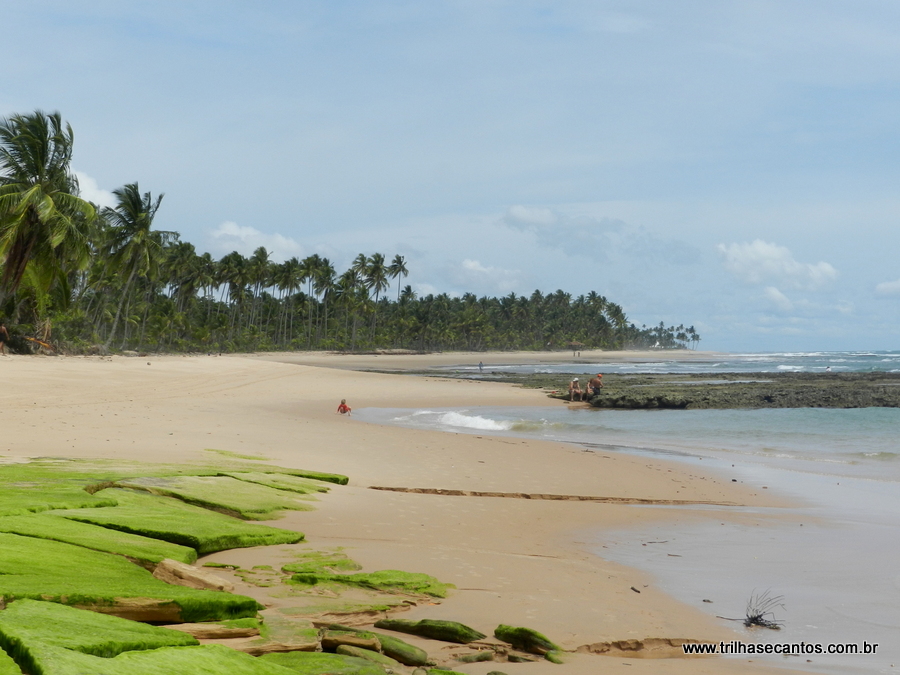 Península de Maraú Bahia