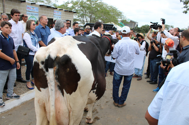 36º Expo Bacia Leiteira vai conectar todos os setores da cadeia produtiva