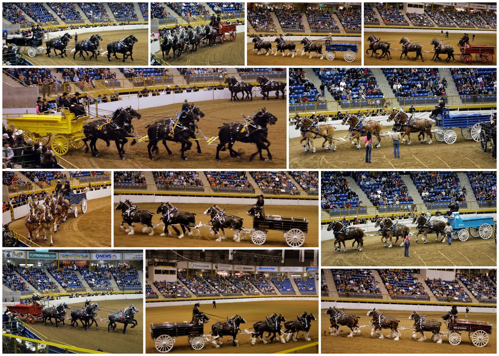 Mille Fiori Favoriti Draft Horse Show at the National Western Stock