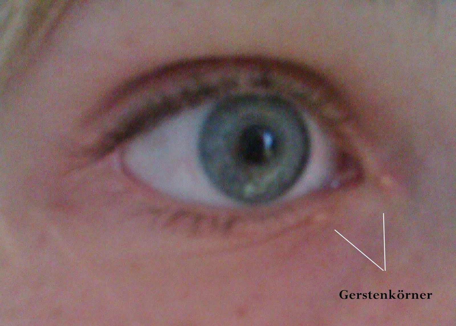 ! Beautiful Moments !: Gerstenkorn ! Beautiful Moments !: Gerstenkorn