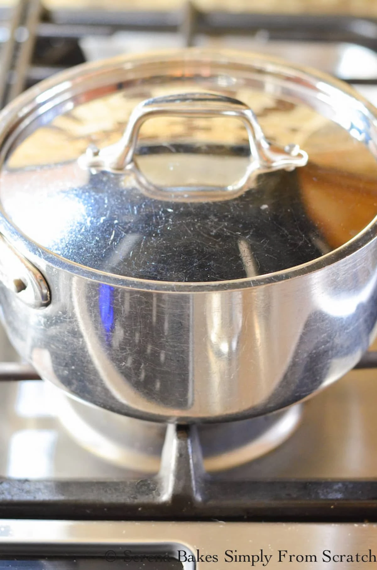 A stainless steel pot covered with a lid on a gas stove top.