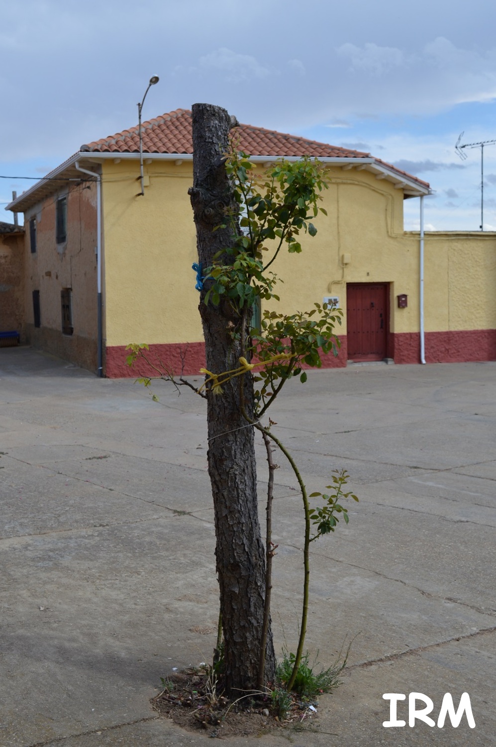 Avantales 12 meses, 12 pueblos Tardemézar