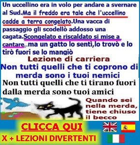 http://frasidivertenti7.blogspot.it/2014/10/lezioni-per-far-carriera-jajaja.html