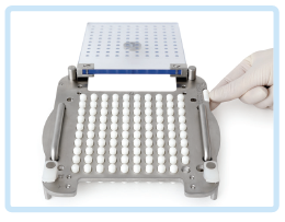 How to fill capsule manually How to fill capsule manually