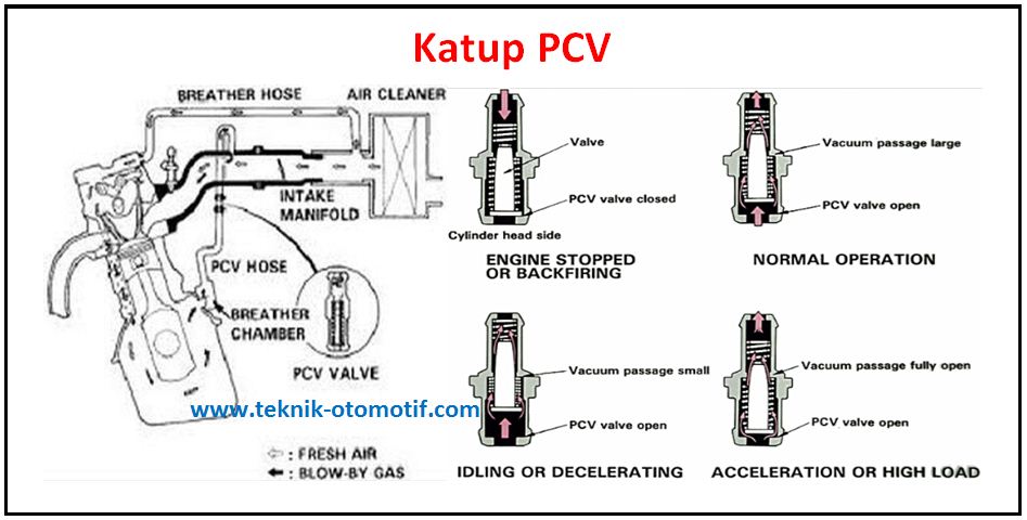Komponen Komponen Sistem Pelumas Dan Fungsinya Teknik Otomotif Com