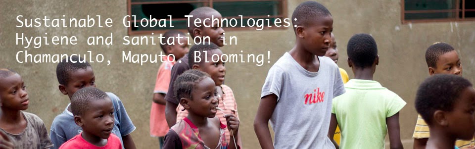 Sustainable Global Technologies: Hygiene and sanitation in Chamanculo, Maputo. Blooming!