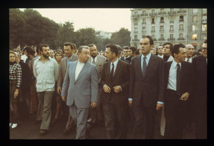 Araucaria HOMMAGE À JEAN TEXIER, CHASSEUR D’IMAGES