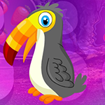  Games4King - G4K Pretty Hornbill Escape