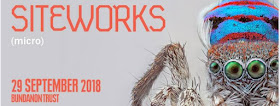 Siteworks banner with small colourful spider
