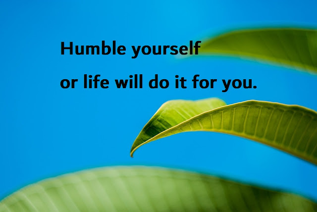 funny humility quotes