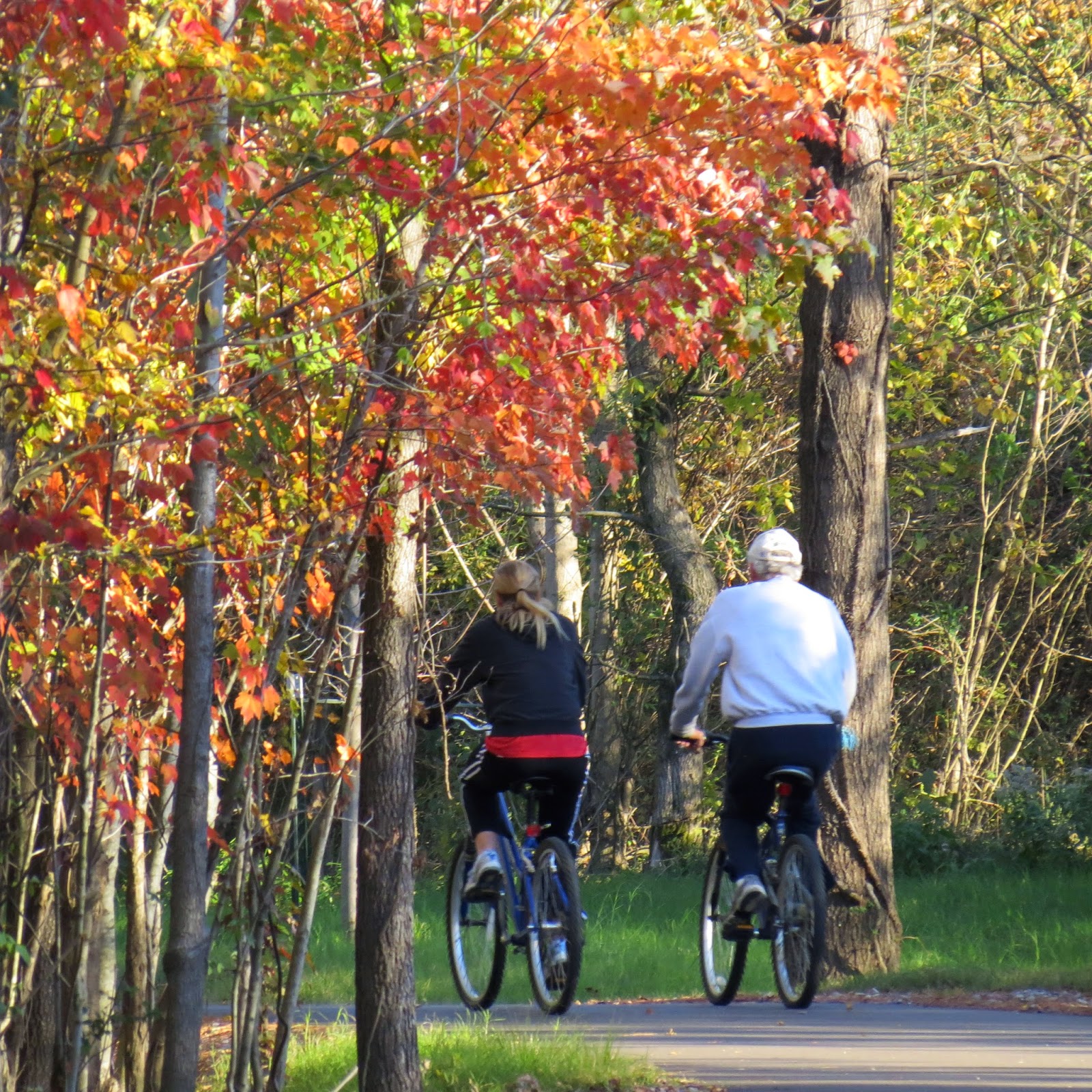Memphis Cyclist: Fall is a great time of the year for riding bikes in ...