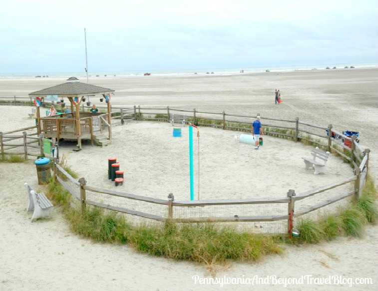 Pennsylvania & Beyond Travel Blog The BEST Oceanfront Dog Park in Wildwood