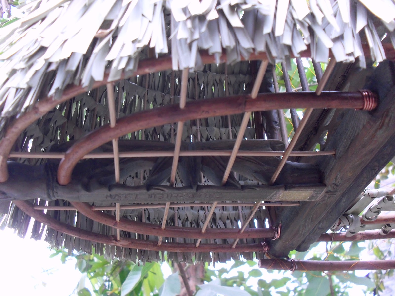 SDC13556.JPG