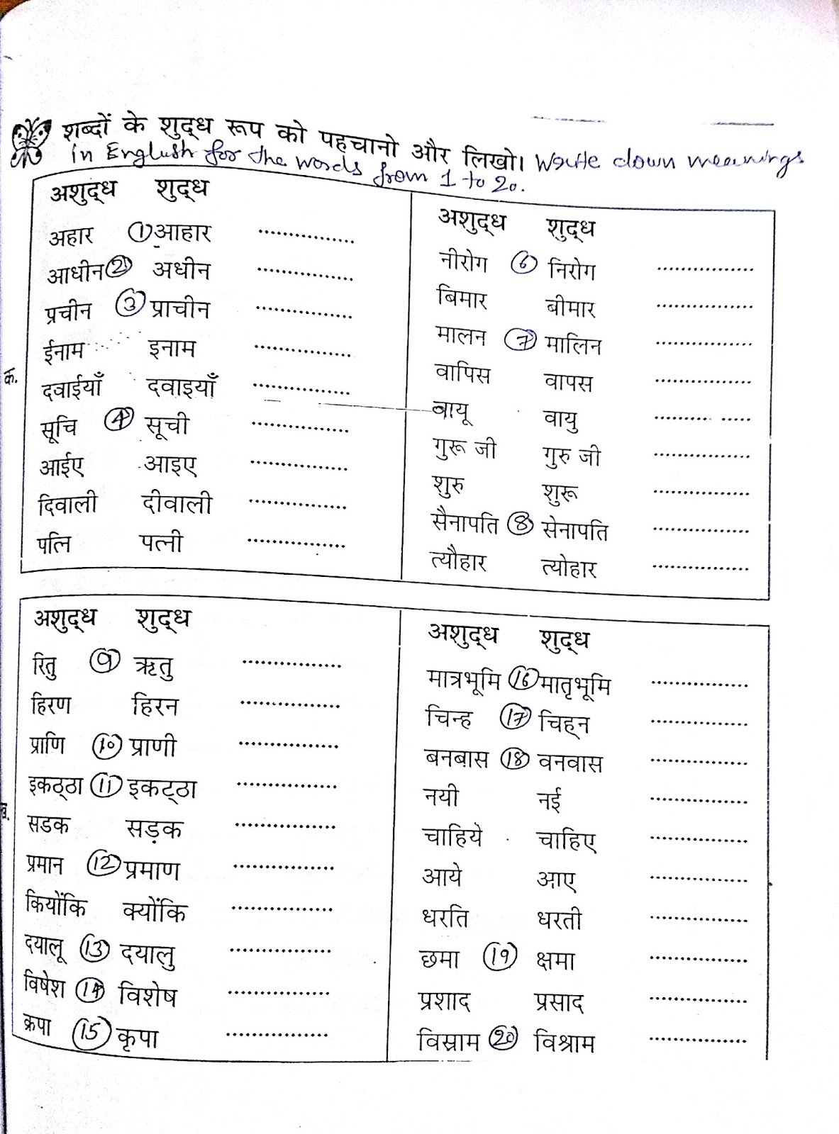 Hindi Grammar Work Sheet Collection for Classes 5,6, 7 & 8: Correct the