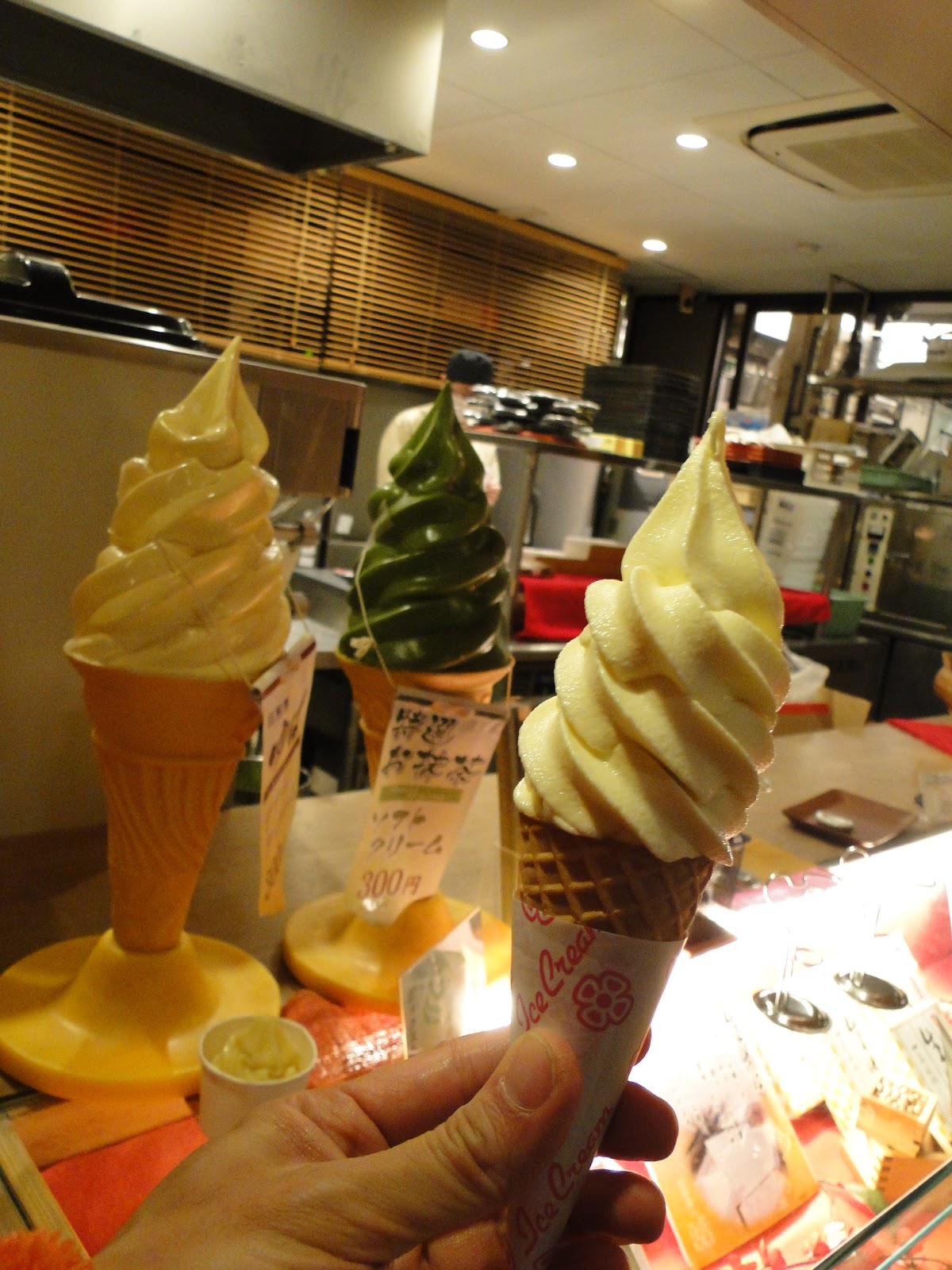 Saga Tofu Ine North Branch 嵯峨とうふ稲 北店 (Kyoto, JAPAN) ★★★☆☆ A traveling