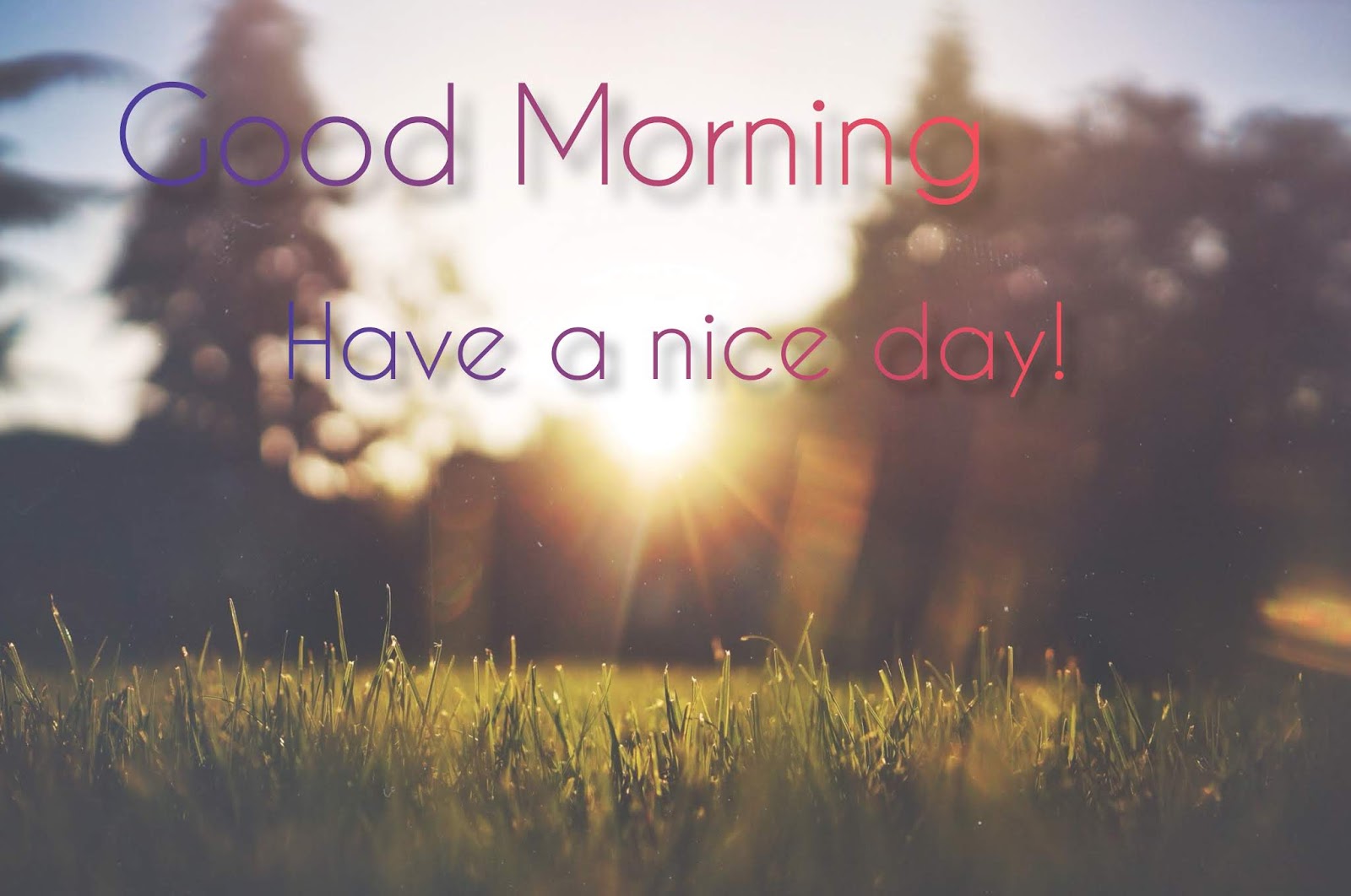 Best Good morning quotes with HD images.