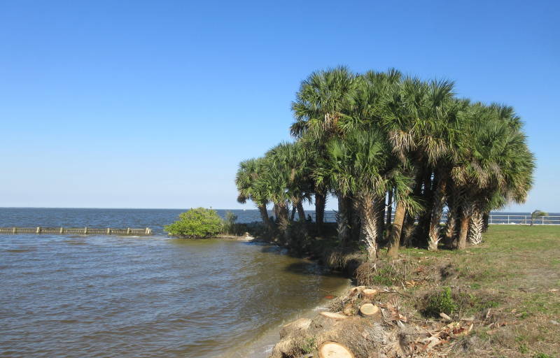 Cruising the ICW with Bob423 Titusville Time for a Black Point fix