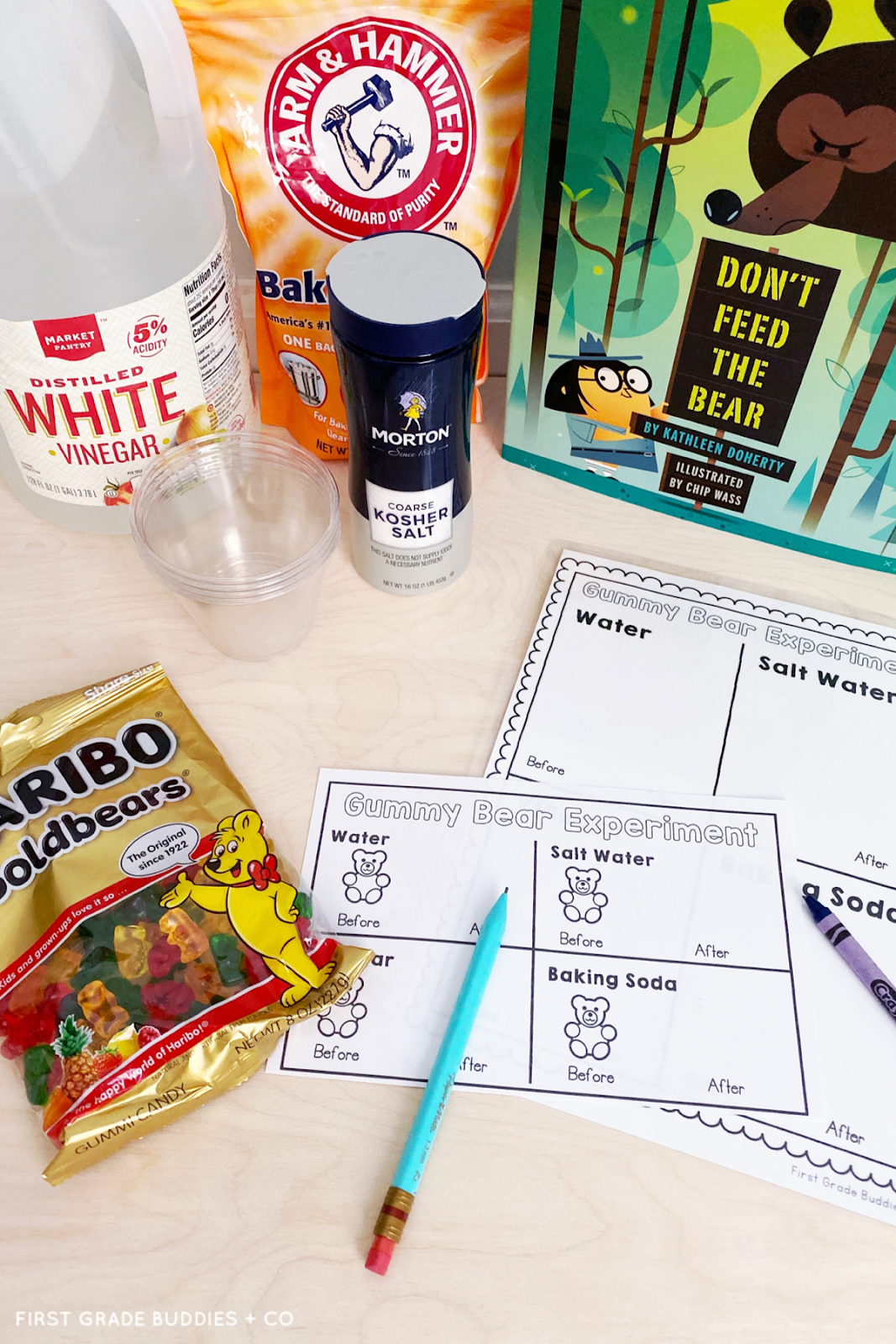 Gummy Bear Science Fair Experiment Worksheet Printable PDF 