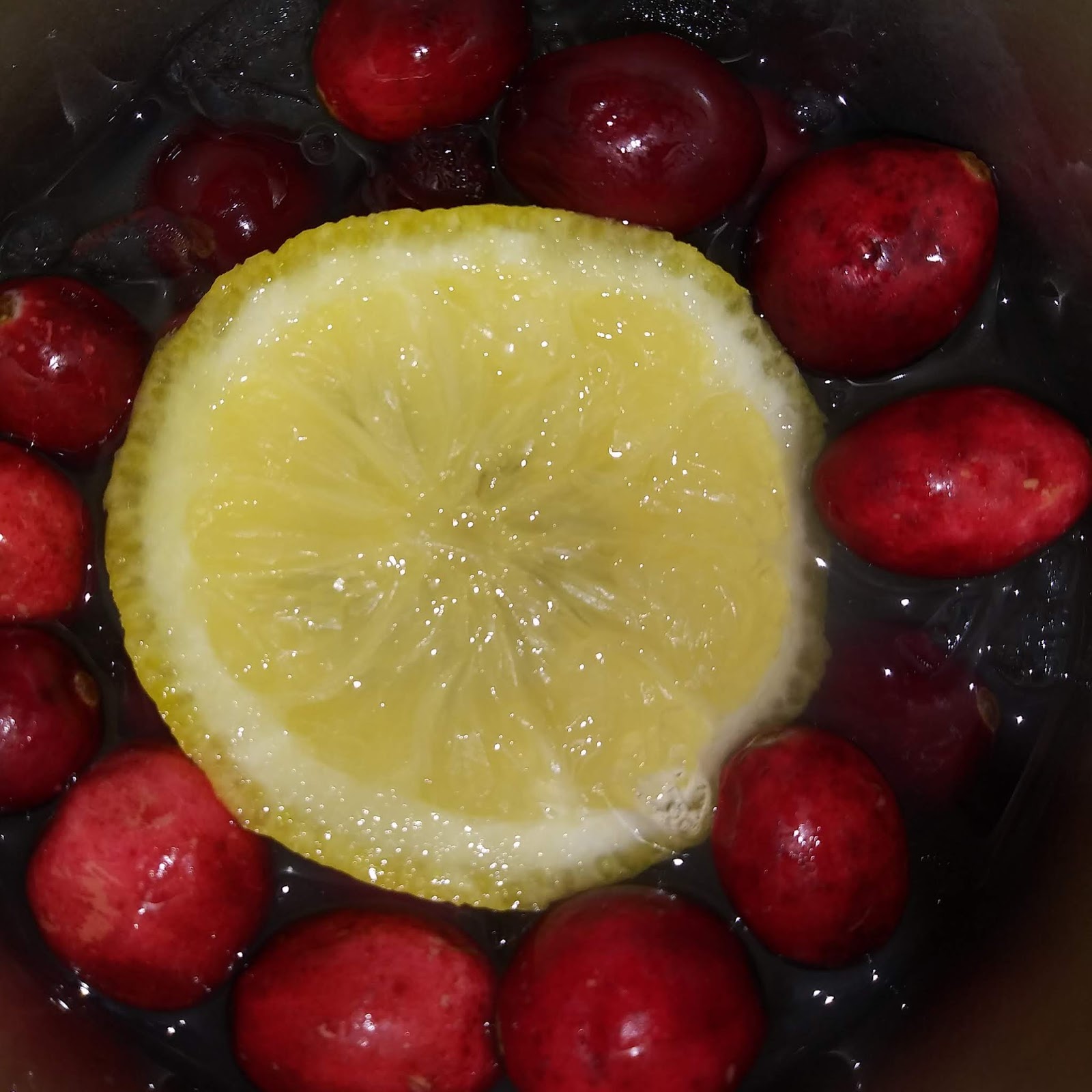 Cranberry Lemon Detox Water!