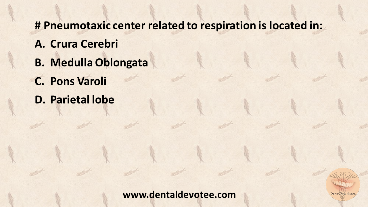 Dentosphere World of Dentistry Pneumotaxic center is present in