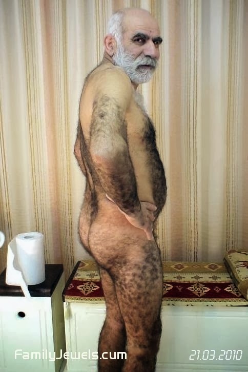 Straight Daddy Bear Straight Daddy Bear