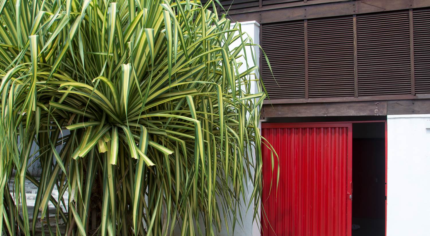 Escola de Arquitetura e Urbanismo da UFC School of Architecture and