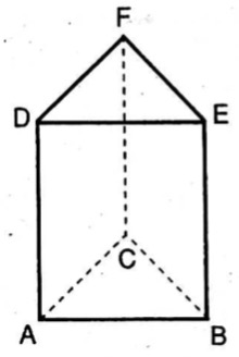 Sejajar tulislah vertikal rusuk yang prisma tersebut pada semua segitiga Pengertian serta