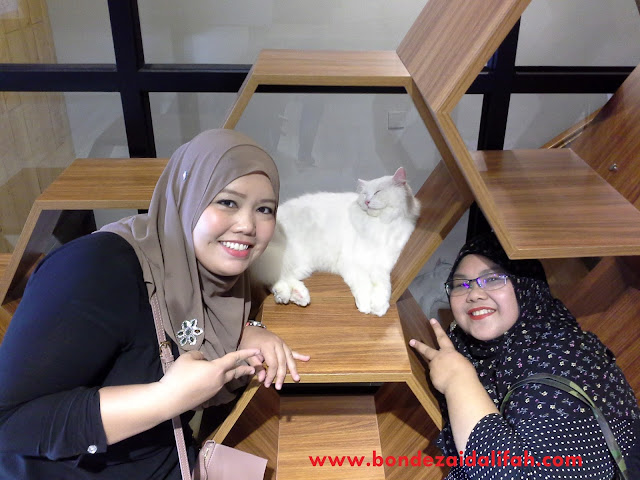 CAT SIGNATURE CAFE & STUDIO