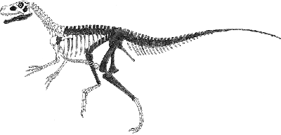 Staurikosaurus